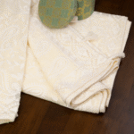 Cream Chikankari Georgette Saree